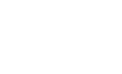 Birdi related articles